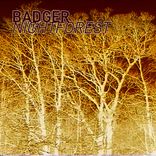 Artwork for "NIGHTFOREST (again)"
