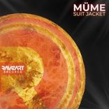 Artwork voor "Suit Jacket"