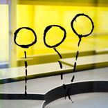 Artwork for "Not Kill"