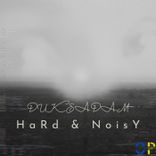 Artwork for "HaRd & NoisY"