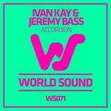 Artwork for "Accordion"