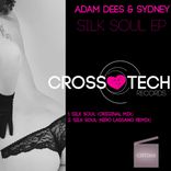 Artwork voor "Silk Soul"