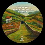 Artwork for "Moment of Peace"