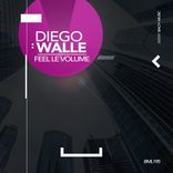 Portada para "Feel Le Volume"