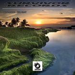 The first rays of light