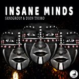 Artwork for "Insane Minds"
