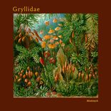 Portada para "Gryllidae"