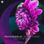 Artwork for "Psychedelic Selections Vol 003 Compiled by Ritmo"