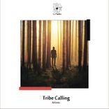 Artwork for "Tribe Calling"