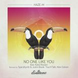 Artwork for "No One Like You"