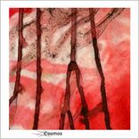 Portada para "Cosmos"