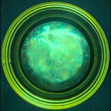 Portada para "Queen Of The Jungle"