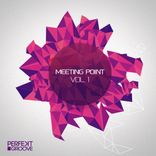 Artwork for "Perfekt Groove - Meeting Point Vol. 1"