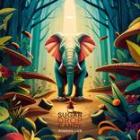 Artwork für "Sugar Drop Candy"