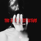 Portada para "THE NEXT DESTRUCTION"