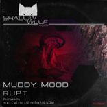 Artwork for "Muddy Mood"