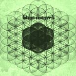 Artwork für "Gold Pipe"