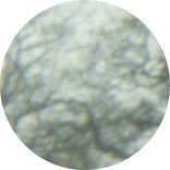 Conclusions Like Curtains