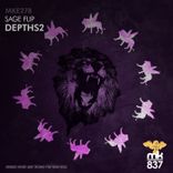 Portada para "Depths2"