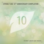 Artwork for "Spring Tube 10th Anniversary Compilation: 10 Best Liquid DnB Tracks"