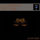 Artwork for "Deep India"