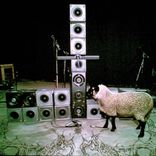 Portada para "SHEEPSTEP"