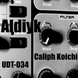 Artwork für "Aldiyk"