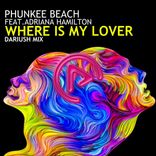Portada para "Where Is My Lover (Dariush Remix)"