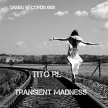 Artwork für "Transient Madness"