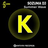 Artwork for "Summer Wave"