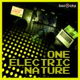 Artwork for "One Electric Nature"