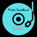 Artwork voor "Take Flight"