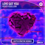 Artwork voor "Love Got You"