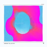 Artwork voor "Mirrors / Tell Me Why"