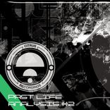 Artwork voor "Past Life Analysis #2"