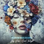 Portada para "Civil Twilight"