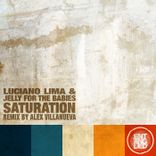 Portada para "Saturation"