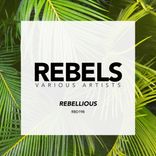 Portada para "Rebels"