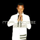 Artwork for "Shona Phansi"