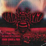 Artwork für "No Rain No Flowers EP"