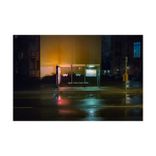 Portada para "Geranium"