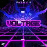 Portada para "Voltage"