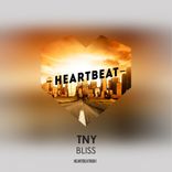 Artwork voor "Bliss"