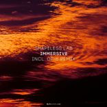 Artwork for "Immersive"