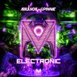 Portada para "Electronic"