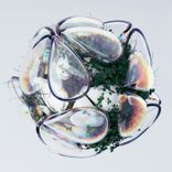 If You Give Me a Chance