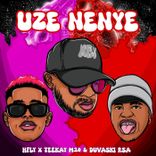 Portada para "Uze Nenye"