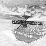 Artwork voor "Psycho/808 Gravediggin'"