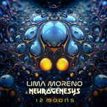 Artwork for "12 Moons"