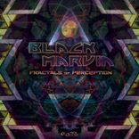 Cognitive Dissonance